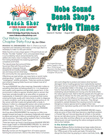 turtletimes_6-4